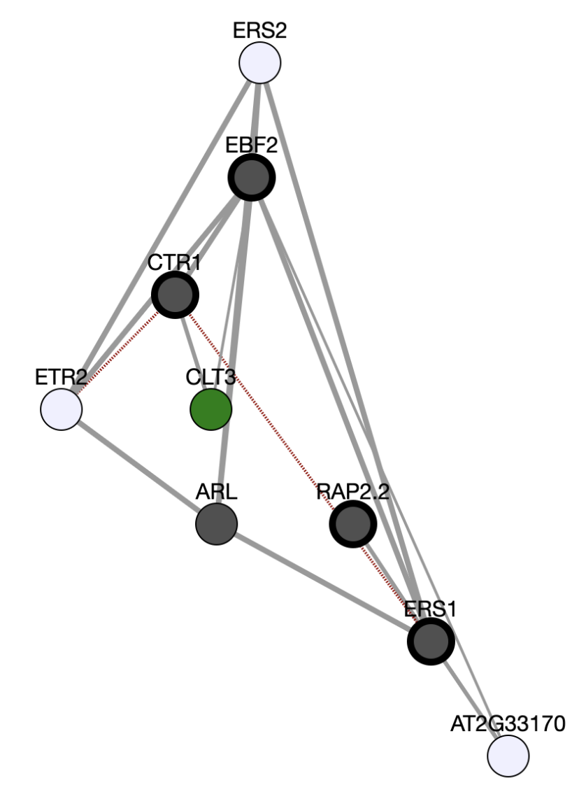 ATTED-II を利用して作成した共発現ネットワーク