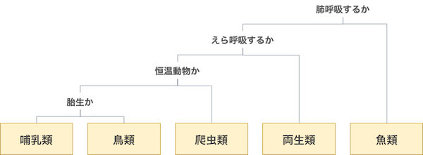 決定木による脊椎動物の分類