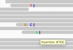 トップ igv リード 色