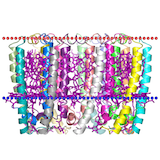 monotopic membrane protein