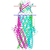 bioinformatics膜タンパク質