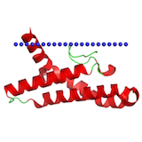 monotopic membrane protein
