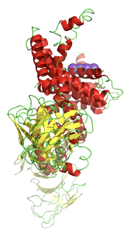 PyMOLで作成したタンパク質の立体構造のPNG画像