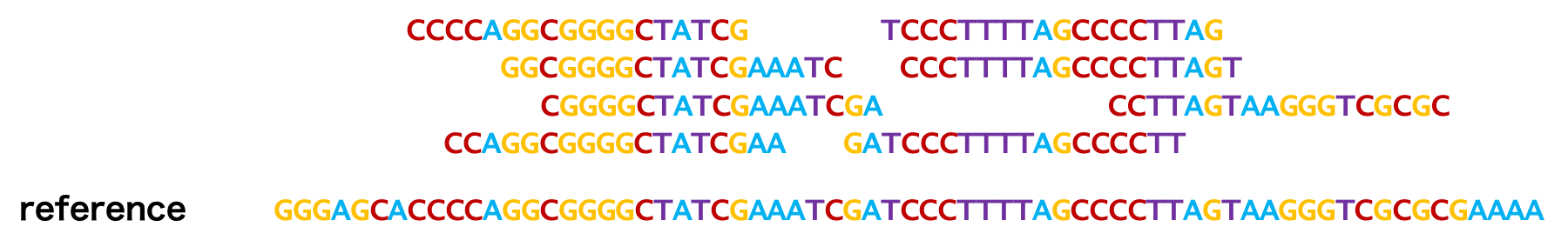 RNASeq マッピングはリードとゲノム配列を比較して、リードの由来箇所を決めることである。